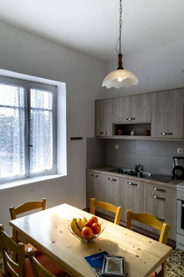 Chrysanthi Apartments 卡德哈米利 外观 照片